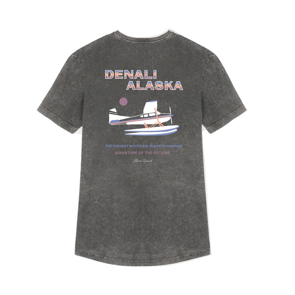 camiseta denali