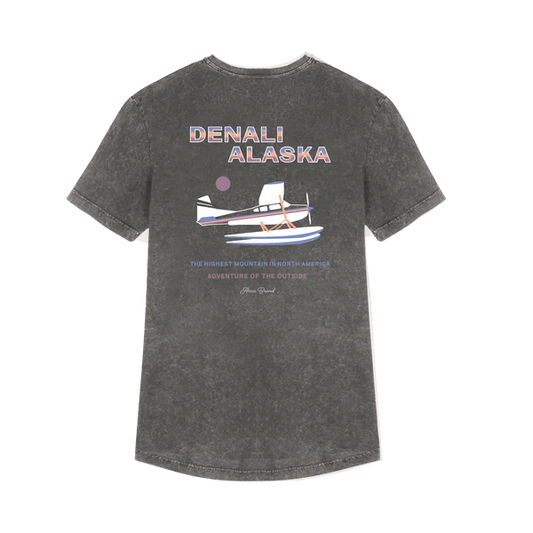 camiseta denali