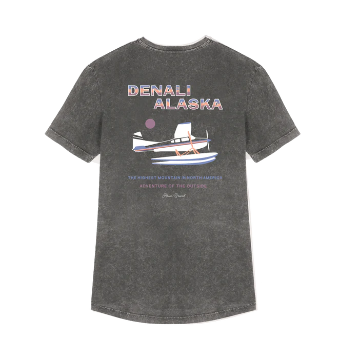 Denali tee grey premium