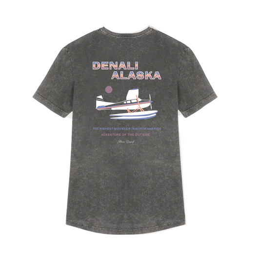 Denali tee grey premium
